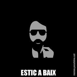 ESTIC A BAIX