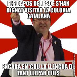 ELS CAPOS DEL PSOE S'HAN DIGNAT VISITAR LA COLÒNIA CATALANA ENCARA EM COU LA LLENGUA DE TANT LLEPAR CULS