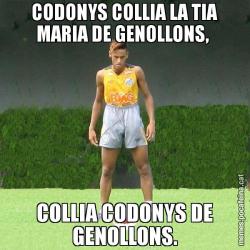 CODONYS COLLIA LA TIA MARIA DE GENOLLONS, COLLIA CODONYS DE GENOLLONS.