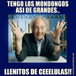 TENGO LOS MONDONGOS ASI DE GRANDES.. LLENITOS DE CEEELULAS!!