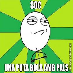 SOC  UNA PUTA BOLA AMB PALS