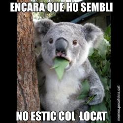 ENCARA QUE HO SEMBLI NO ESTIC COL·LOCAT