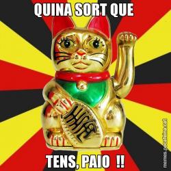 QUINA SORT QUE  TENS, PAIO  !!