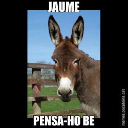 JAUME PENSA-HO BE
