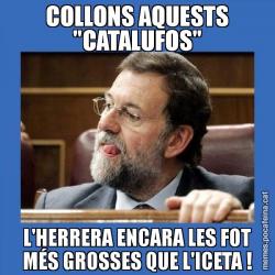 COLLONS AQUESTS "CATALUFOS" L'HERRERA ENCARA LES FOT MÉS GROSSES QUE L'ICETA !