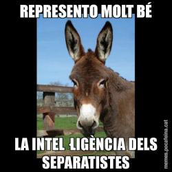 REPRESENTO MOLT BÉ LA INTEL·LIGÈNCIA DELS SEPARATISTES