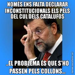 NOMÉS ENS FALTA DECLARAR INCONSTITUCIONALS ELS PÈLS DEL CUL DELS CATALUFOS ..EL PROBLEMA ÉS QUE S'HO PASSEN PELS COLLONS...