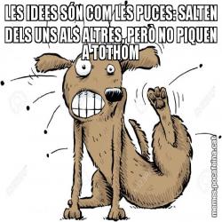 LES IDEES SÓN COM LES PUCES: SALTEN DELS UNS ALS ALTRES, PERÒ NO PIQUEN A TOTHOM