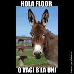 HOLA FLOOR  Q VAGI B LA UNI