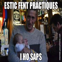 ESTIC FENT PRACTIQUES I HO SAPS