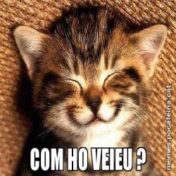 COM HO VEIEU ?