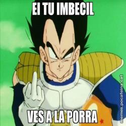 EI TU IMBECIL VES A LA PORRA