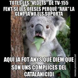 TOTES LES “VEDETS” DE TV-155 FENT-SE LES OFESES PERQUÈ “ARA” LA GENT JA NO ELS SUPORTA AQUÍ JA FOT ANYS QUE DIEM QUE SÓN UNS CÒMPLICES DEL CATALANICIDI