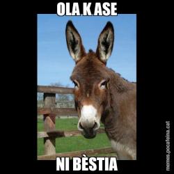 OLA K ASE NI BÈSTIA