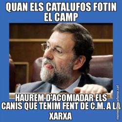 QUAN ELS CATALUFOS FOTIN EL CAMP HAUREM D'ACOMIADAR ELS CANIS QUE TENIM FENT DE C.M. A LA XARXA