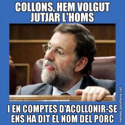COLLONS, HEM VOLGUT JUTJAR L'HOMS I EN COMPTES D'ACOLLONIR-SE ENS HA DIT EL NOM DEL PORC