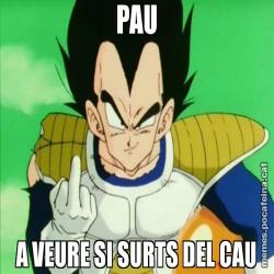 PAU A VEURE SI SURTS DEL CAU
