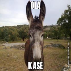 OLA K ASE
