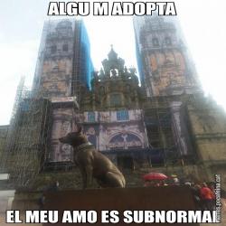 ALGU M ADOPTA EL MEU AMO ES SUBNORMAL