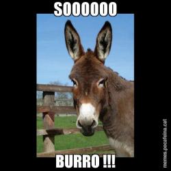 SOOOOOO BURRO !!!