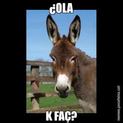 ¿OLA K FAÇ?