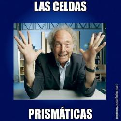 LAS CELDAS PRISMÁTICAS