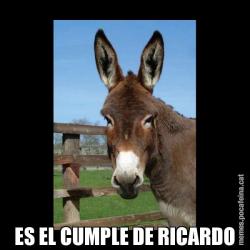 ES EL CUMPLE DE RICARDO