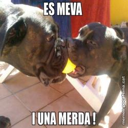 ES MEVA  I UNA MERDA !