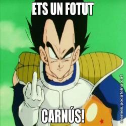 ETS UN FOTUT CARNÚS!