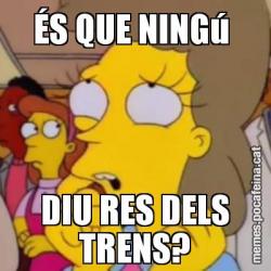 ÉS QUE NINGú  DIU RES DELS TRENS?
