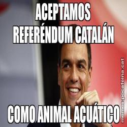 ACEPTAMOS REFERÉNDUM CATALÁN COMO ANIMAL ACUÁTICO