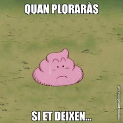QUAN PLORARÀS SI ET DEIXEN...