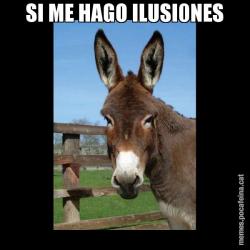 SI ME HAGO ILUSI0NES