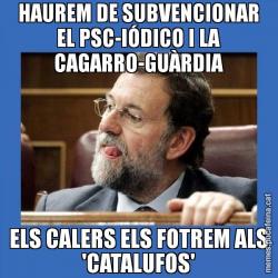 HAUREM DE SUBVENCIONAR EL PSC-IÓDICO I LA CAGARRO-GUÀRDIA ELS CALERS ELS FOTREM ALS 'CATALUFOS'
