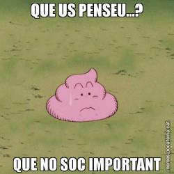 QUE US PENSEU...? QUE NO SOC IMPORTANT