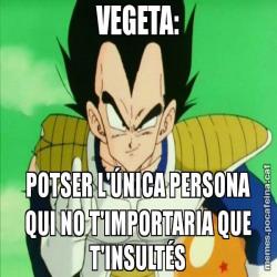 VEGETA: POTSER L'ÚNICA PERSONA QUI NO T'IMPORTARIA QUE T'INSULTÉS