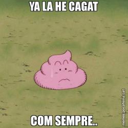 YA LA HE CAGAT COM SEMPRE..