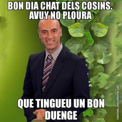 BON DIA CHAT DELS COSINS.  AVUY NO PLOURA QUE TINGUEU UN BON DUENGE