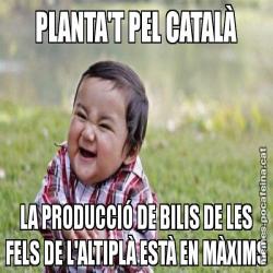 PLANTA'T PEL CATALÀ LA PRODUCCIÓ DE BILIS DE LES FELS DE L'ALTIPLÀ ESTÀ EN MÀXIMS