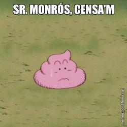 SR. MONRÓS, CENSA'M