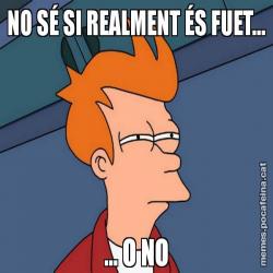 NO SÉ SI REALMENT ÉS FUET... ... O NO
