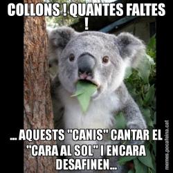 COLLONS ! QUANTES FALTES ! ... AQUESTS "CANIS" CANTAR EL "CARA AL SOL" I ENCARA DESAFINEN...