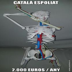 CATALÀ ESPOLIAT 2.000 EUROS / ANY