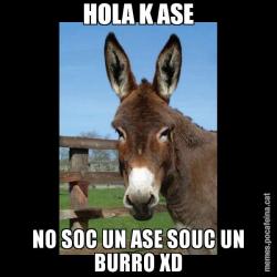 HOLA K ASE NO SOC UN ASE SOUC UN BURRO XD