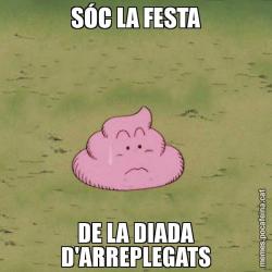 SÓC LA FESTA DE LA DIADA D'ARREPLEGATS