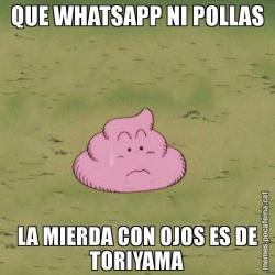 QUE WHATSAPP NI POLLAS LA MIERDA CON OJOS ES DE TORIYAMA