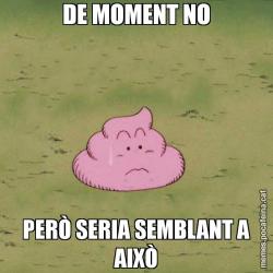 DE MOMENT NO PERÒ SERIA SEMBLANT A AIXÒ