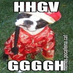 HHGV GGGGH