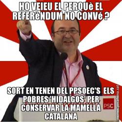 HO VEIEU EL PERQUè EL REFERèNDUM NO CONVé ? SORT EN TENEN DEL PPSOEC'S  ELS POBRES 'HIDALGOS' PER CONSERVAR LA MAMELLA CATALANA