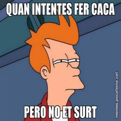 QUAN INTENTES FER CACA PERO NO ET SURT